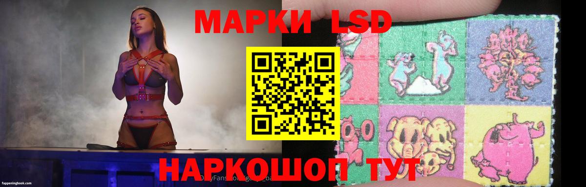 Котельники  мега как войти  LSD-25 экстази ecstasy  ЛСД экстази  Вход с VPN  ЛСД экстази кислота 