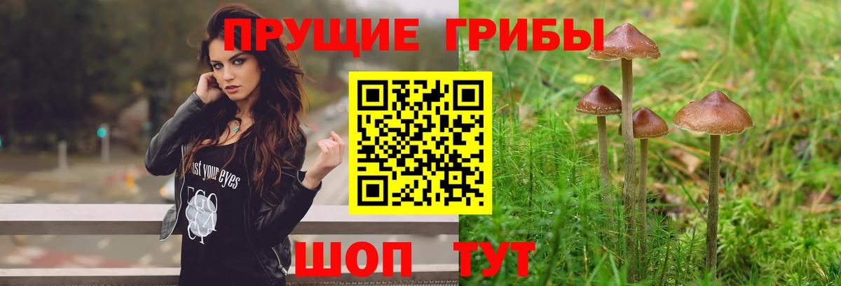 Псилоцибиновые грибы мухоморы  Вход с VPN  Котельники 